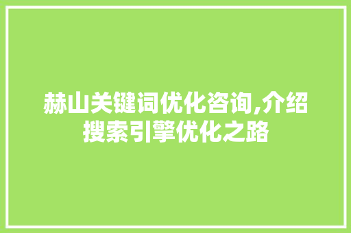 赫山关键词优化咨询,介绍搜索引擎优化之路 神马SEO