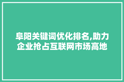 阜阳关键词优化排名,助力企业抢占互联网市场高地 神马SEO