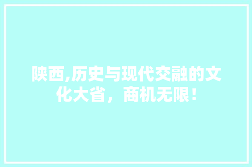 陕西,历史与现代交融的文化大省，商机无限！ GoogleSEO