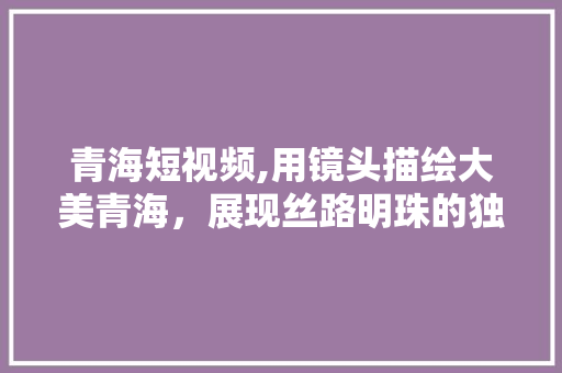 青海短视频,用镜头描绘大美青海，展现丝路明珠的独特魅力 神马SEO