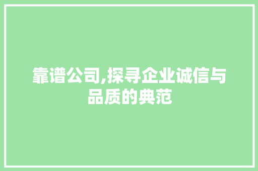 靠谱公司,探寻企业诚信与品质的典范 必应SEO