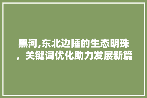 黑河,东北边陲的生态明珠，关键词优化助力发展新篇章 未命名