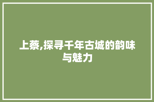 上蔡,探寻千年古城的韵味与魅力 未命名