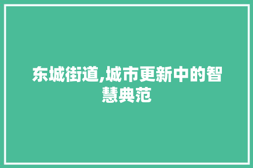 东城街道,城市更新中的智慧典范 GoogleSEO