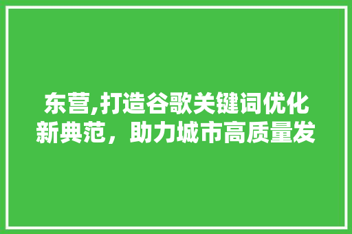 东营,打造谷歌关键词优化新典范，助力城市高质量发展 未命名