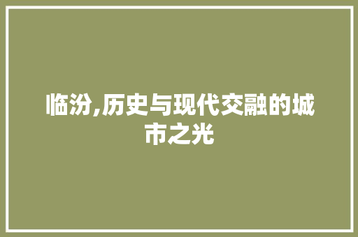 临汾,历史与现代交融的城市之光 神马SEO