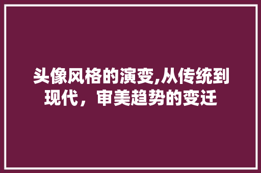 头像风格的演变,从传统到现代，审美趋势的变迁 搜狗SEO
