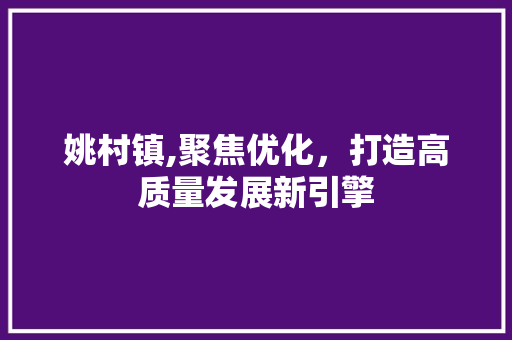 姚村镇,聚焦优化，打造高质量发展新引擎 神马SEO