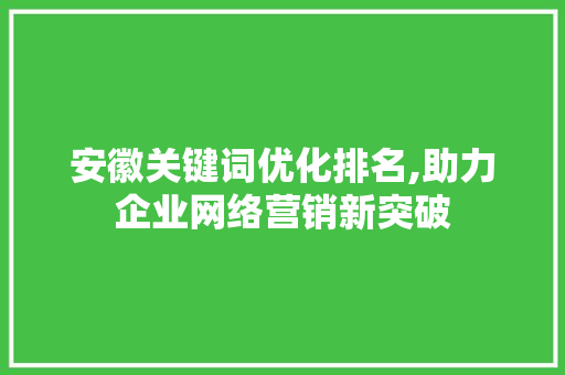 安徽关键词优化排名,助力企业网络营销新突破 百度SEO