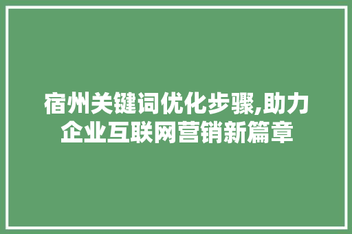 宿州关键词优化步骤,助力企业互联网营销新篇章 神马SEO