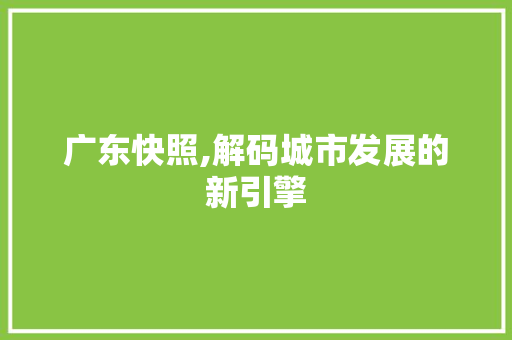 广东快照,解码城市发展的新引擎 未命名