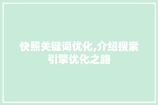 快照关键词优化,介绍搜索引擎优化之路