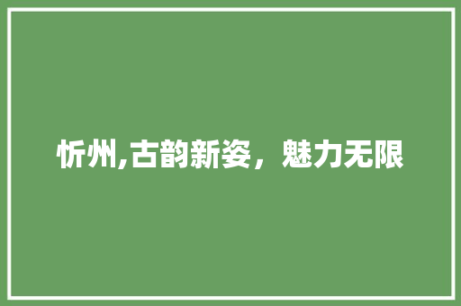 忻州,古韵新姿，魅力无限 必应SEO