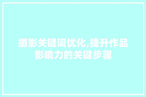 摄影关键词优化,提升作品影响力的关键步骤 GoogleSEO