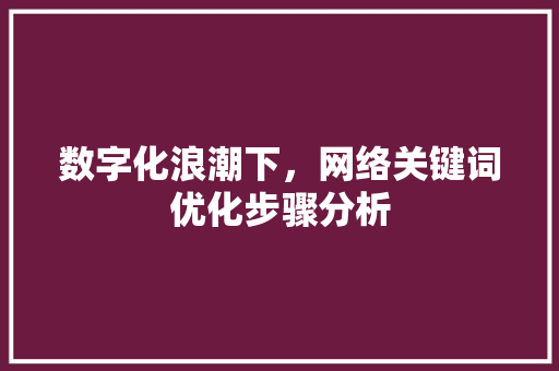 数字化浪潮下，网络关键词优化步骤分析