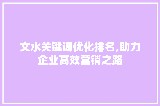 文水关键词优化排名,助力企业高效营销之路