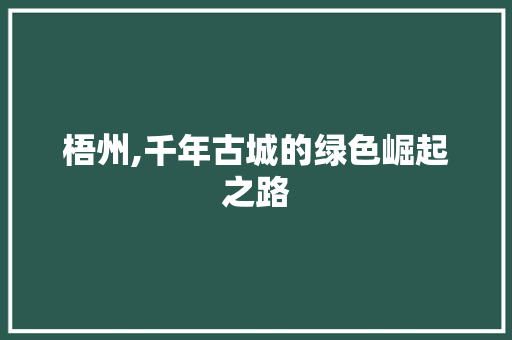 梧州,千年古城的绿色崛起之路 百度SEO