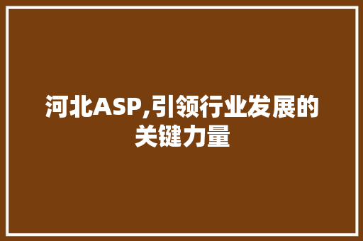 河北ASP,引领行业发展的关键力量 未命名