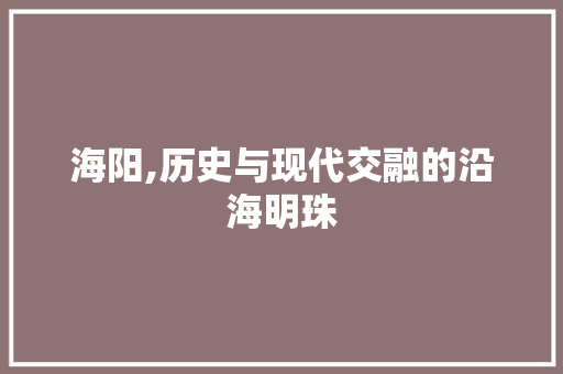 海阳,历史与现代交融的沿海明珠 神马SEO
