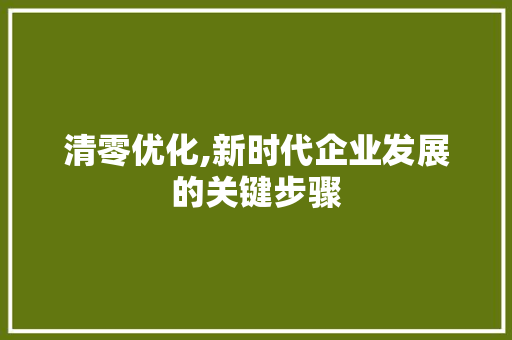 清零优化,新时代企业发展的关键步骤