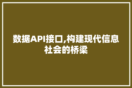 数据API接口,构建现代信息社会的桥梁 百度SEO