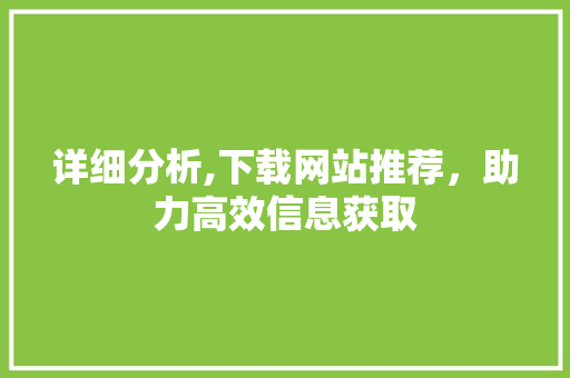 详细分析,下载网站推荐，助力高效信息获取 百度SEO