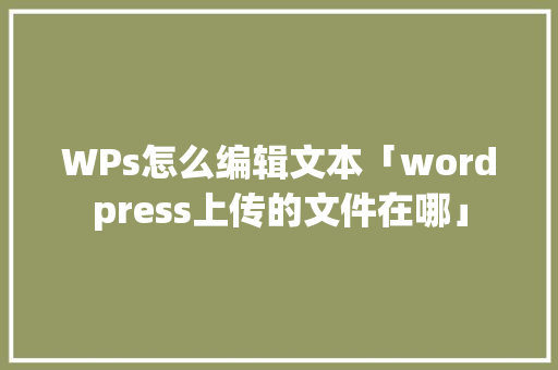 WPs怎么编辑文本「wordpress上传的文件在哪」 WPs怎么编辑文本「wordpress上传的文件在哪」 搜狗SEO
