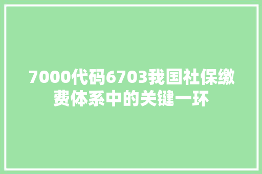 7000代码6703我国社保缴费体系中的关键一环