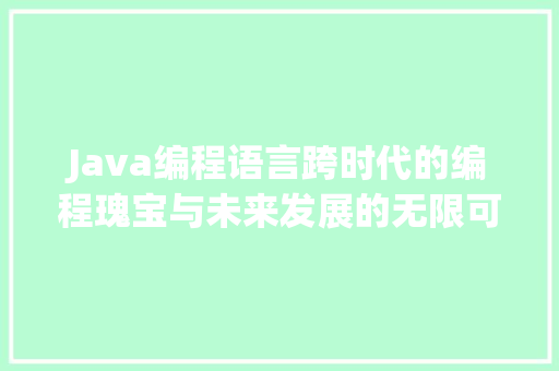 Java编程语言跨时代的编程瑰宝与未来发展的无限可能 必应SEO