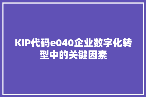 KIP代码e040企业数字化转型中的关键因素