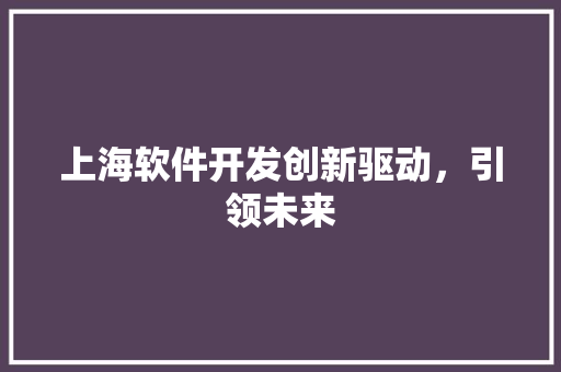 上海软件开发创新驱动，引领未来 GoogleSEO
