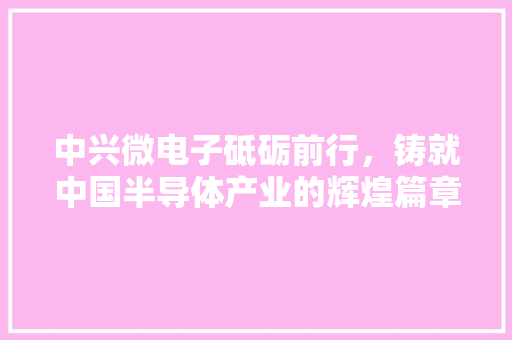 中兴微电子砥砺前行，铸就中国半导体产业的辉煌篇章 必应SEO