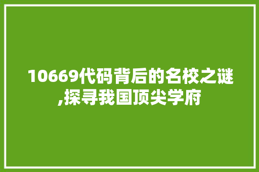 10669代码背后的名校之谜,探寻我国顶尖学府 必应SEO