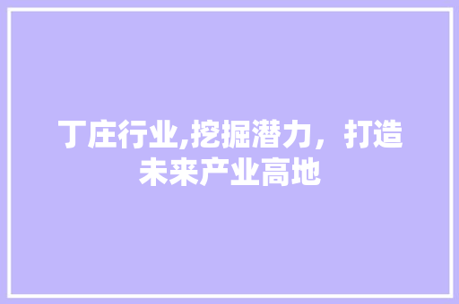 丁庄行业,挖掘潜力，打造未来产业高地 未命名
