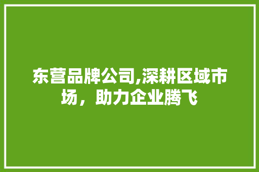 东营品牌公司,深耕区域市场，助力企业腾飞 未命名