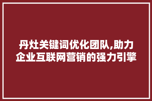 丹灶关键词优化团队,助力企业互联网营销的强力引擎 必应SEO