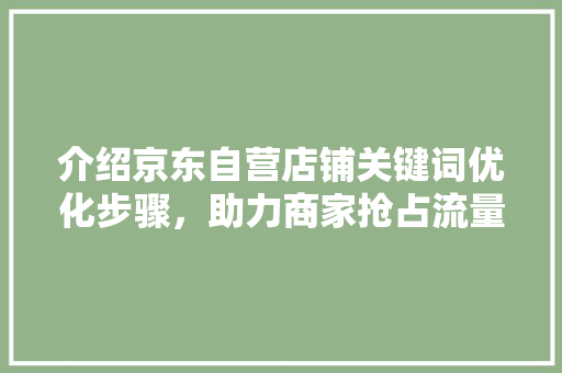 介绍京东自营店铺关键词优化步骤，助力商家抢占流量高地 百度SEO