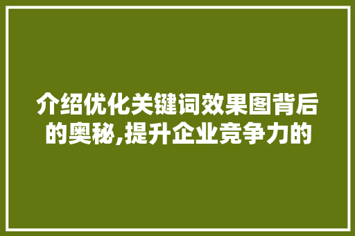 介绍优化关键词效果图背后的奥秘,提升企业竞争力的重要利器 GoogleSEO