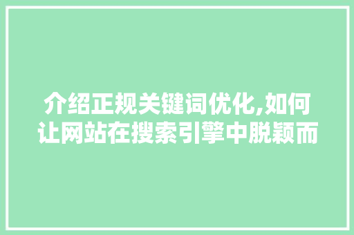 介绍正规关键词优化,如何让网站在搜索引擎中脱颖而出 GoogleSEO