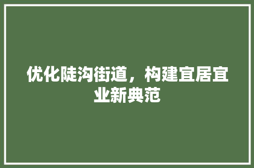 优化陡沟街道，构建宜居宜业新典范