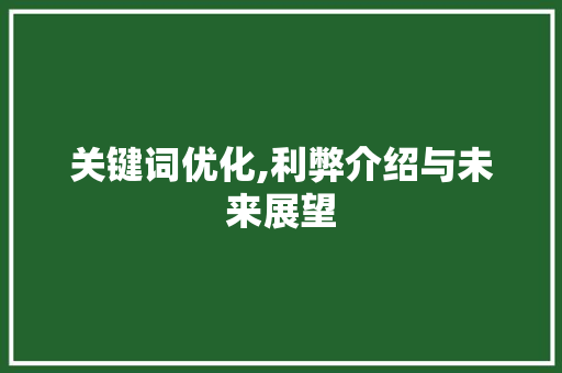 关键词优化,利弊介绍与未来展望