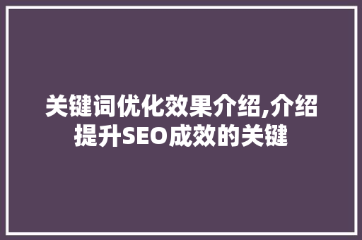 关键词优化效果介绍,介绍提升SEO成效的关键 未命名