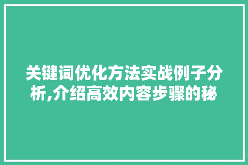 关键词优化方法实战例子分析,介绍高效内容步骤的秘密武器 神马SEO