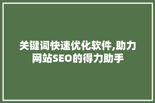 关键词快速优化软件,助力网站SEO的得力助手 百度SEO