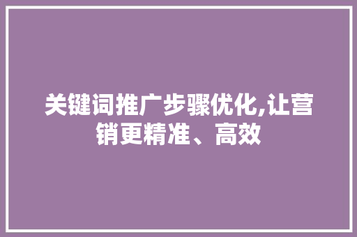 关键词推广步骤优化,让营销更精准、高效
