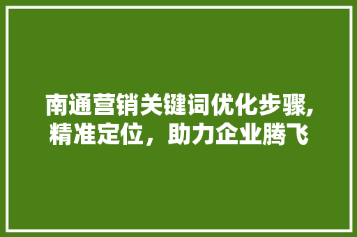 南通营销关键词优化步骤,精准定位，助力企业腾飞 GoogleSEO