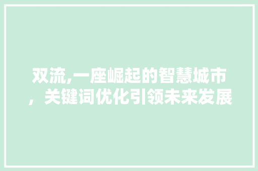 双流,一座崛起的智慧城市，关键词优化引领未来发展 神马SEO
