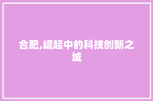 合肥,崛起中的科技创新之城 搜狗SEO