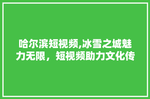 哈尔滨短视频,冰雪之城魅力无限，短视频助力文化传播 未命名