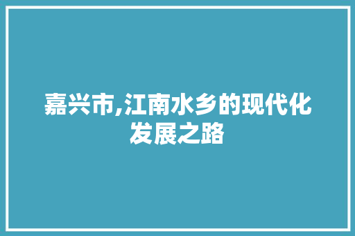 嘉兴市,江南水乡的现代化发展之路